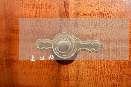 主律师 主律师