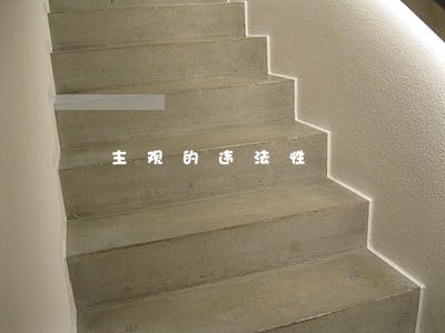 主观的违法性 主观的违法性