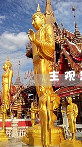 主观题及格线