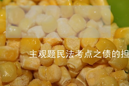 主观题民法考点之债的担保 主观题民法考点之债的担保