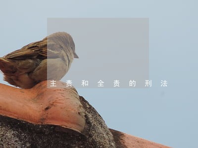 主责和全责的刑法