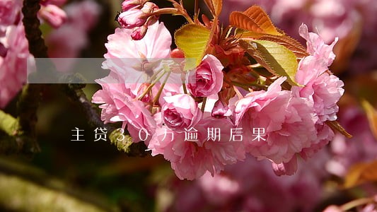主贷30万逾期后果 主贷30万逾期后果