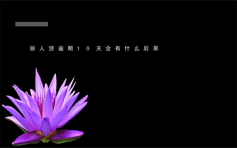 丽人贷逾期10天会有什么后果 丽人贷逾期10天会有什么后果