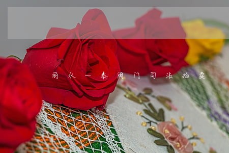 丽水一泰阀门司法拍卖 丽水一泰阀门司法拍卖