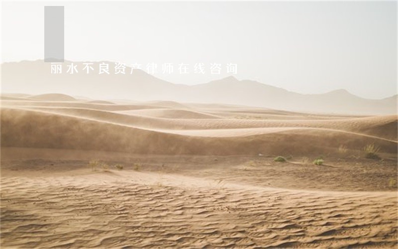 丽水不良资产律师在线咨询 丽水不良资产律师在线咨询