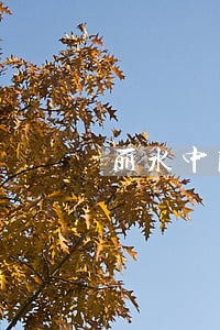 丽水中院司法雇员考试成绩公布