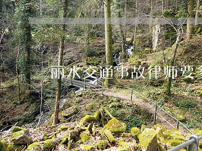 丽水交通事故律师要多少钱 丽水交通事故律师要多少钱