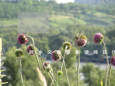 丽水交通肇事律师在线咨询 丽水交通肇事律师在线咨询