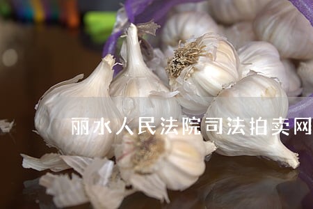 丽水人民法院司法拍卖网 丽水人民法院司法拍卖网