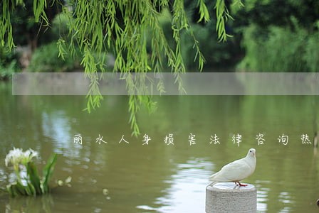 丽水人身损害法律咨询热线 丽水人身损害法律咨询热线
