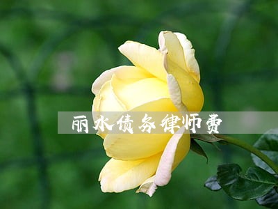 丽水债务律师费 丽水债务律师费