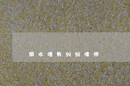 丽水债务纠纷律师 丽水债务纠纷律师