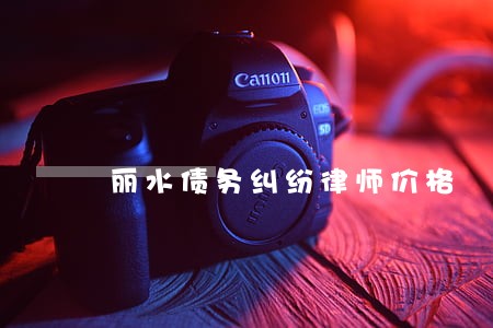 丽水债务纠纷律师价格 丽水债务纠纷律师价格