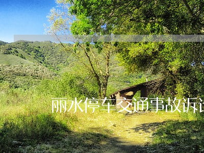 丽水停车交通事故诉讼费用多少 丽水停车交通事故诉讼费用多少