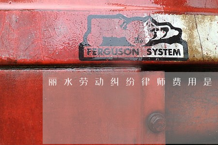 丽水劳动纠纷律师费用是多少