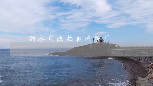 丽水司法拍卖网房厂 丽水司法拍卖网房厂