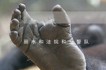 丽水和法院和交警队