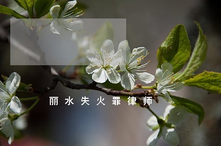 丽水失火罪律师 丽水失火罪律师