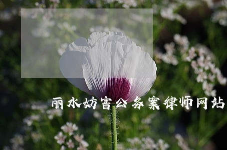 丽水妨害公务案律师网站