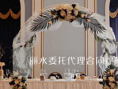丽水委托代理合同律师介绍 丽水委托代理合同律师介绍