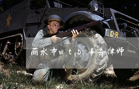 丽水市wto事务律师 丽水市wto事务律师