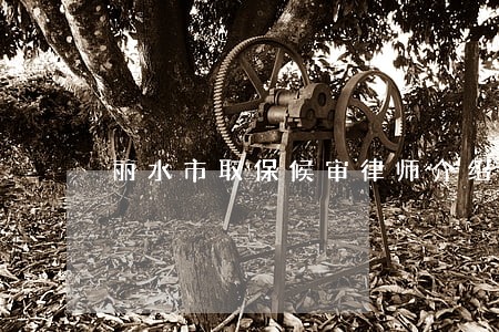 丽水市取保候审律师介绍