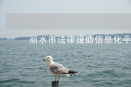 丽水市法律援助信息化平台 丽水市法律援助信息化平台