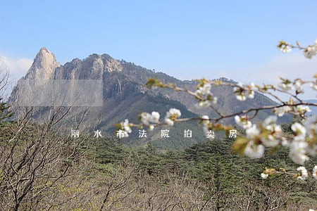丽水市法院拍卖房