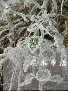 丽水市法院王思允 丽水市法院王思允