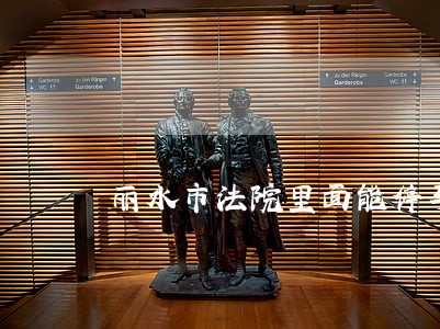 丽水市法院里面能停车么 丽水市法院里面能停车么