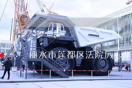 丽水市莲都区法院厉志华 丽水市莲都区法院厉志华