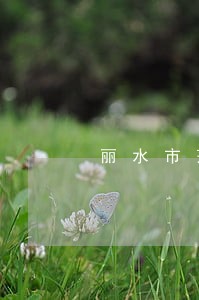 丽水市莲都区法院执行 丽水市莲都区法院执行
