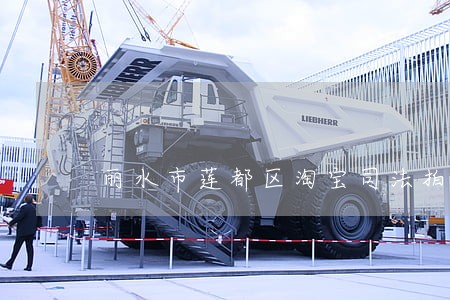 丽水市莲都区淘宝司法拍卖公告 丽水市莲都区淘宝司法拍卖公告