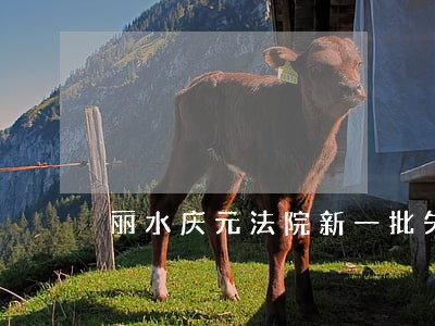 丽水庆元法院新一批失信被执行人