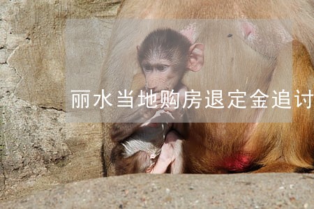 丽水当地购房退定金追讨律师 丽水当地购房退定金追讨律师