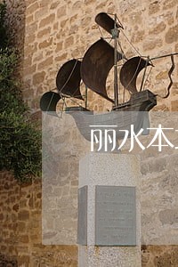 丽水本地取保候审律师收费 丽水本地取保候审律师收费