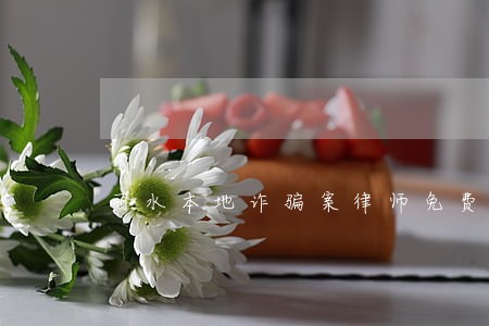 丽水本地诈骗案律师免费咨询 丽水本地诈骗案律师免费咨询