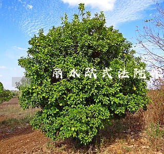 丽水欧式法院家具采购 丽水欧式法院家具采购