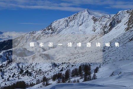丽水正一法律咨询服务