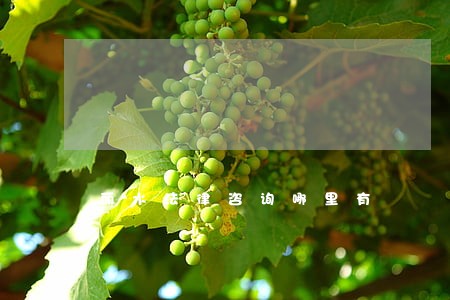 丽水法律咨询哪里有 丽水法律咨询哪里有
