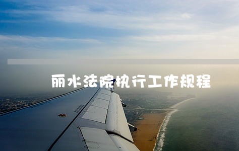 丽水法院执行工作规程