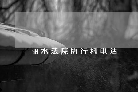 丽水法院执行科电话 丽水法院执行科电话