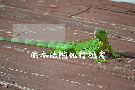 丽水法院执行规定 丽水法院执行规定