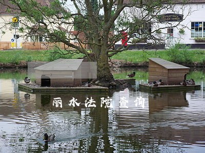 丽水法院查询 丽水法院查询