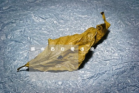 丽水百日零违法 丽水百日零违法