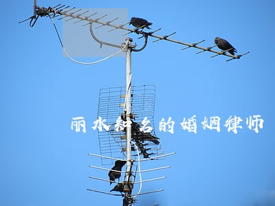 丽水知名的婚姻律师 丽水知名的婚姻律师