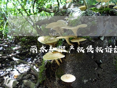 丽水知识产权侵权诉讼联系电话 丽水知识产权侵权诉讼联系电话