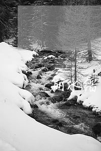 丽水缙云县专利法律师在线咨询 丽水缙云县专利法律师在线咨询