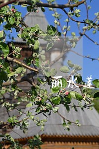 丽水莲都区法院电话号码 丽水莲都区法院电话号码