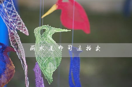丽水莲都司法拍卖 丽水莲都司法拍卖
